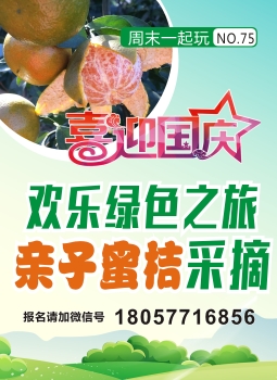 国庆亲子蜜桔采摘 国庆亲子蜜桔采摘