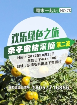 亲子蜜桔采摘第二波 亲子蜜桔采摘第二波